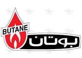 پکیج گرمایشی 24 بوتان مدل پارما 24